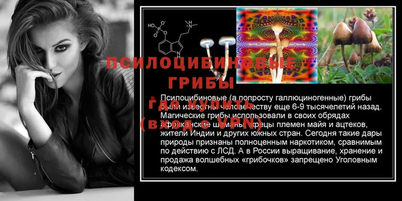 Галлюциногенные грибы Psilocybine cubensis  как найти   Искитим 